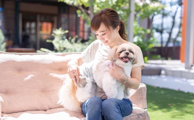 庭でペットと遊ぶ